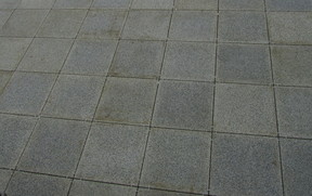 práce 006 (4)