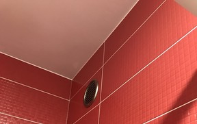 IMG_2257