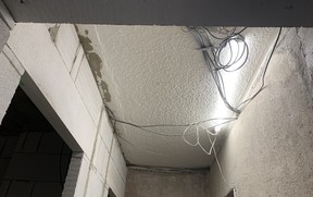 IMG_2203